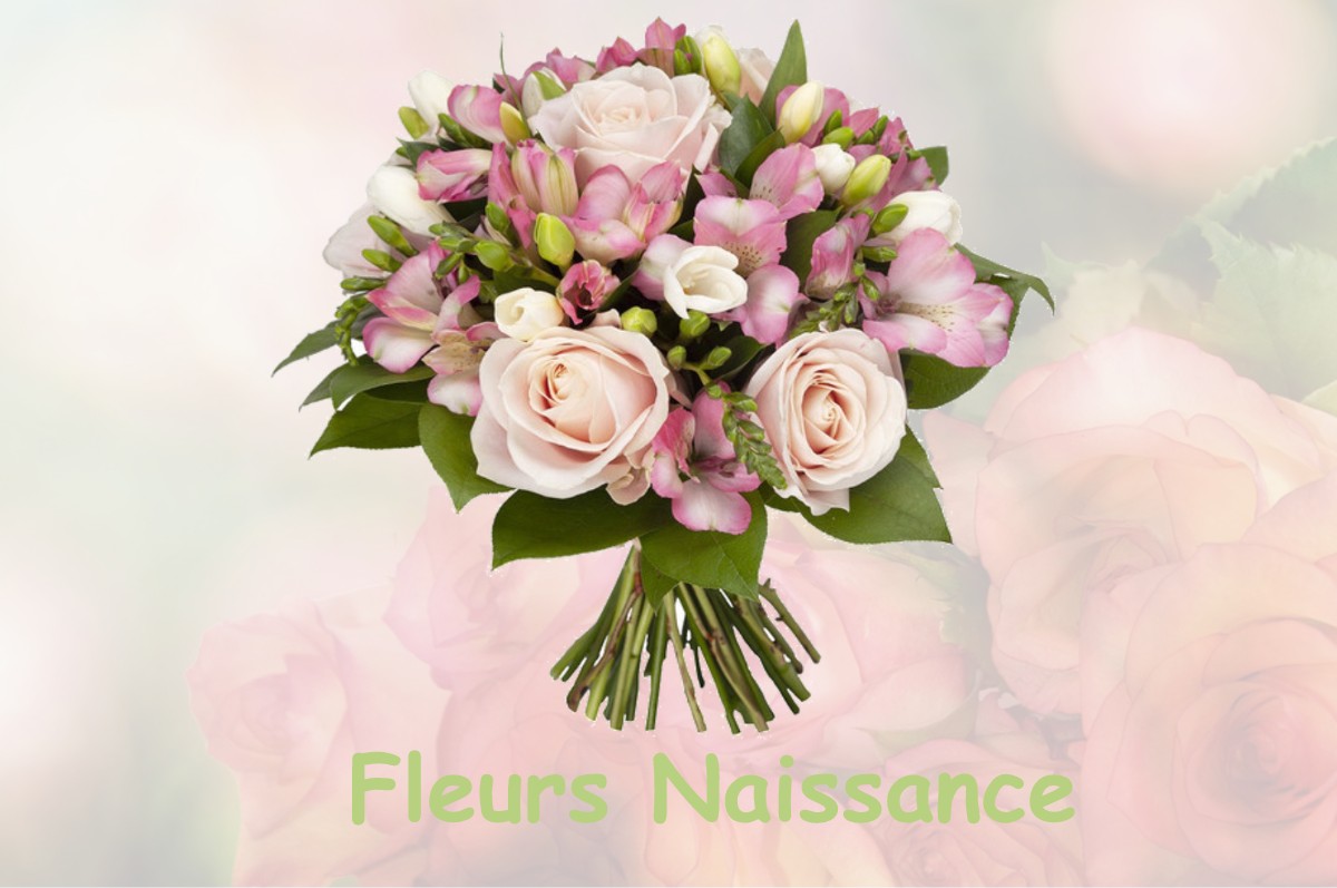 fleurs naissance MENVILLE