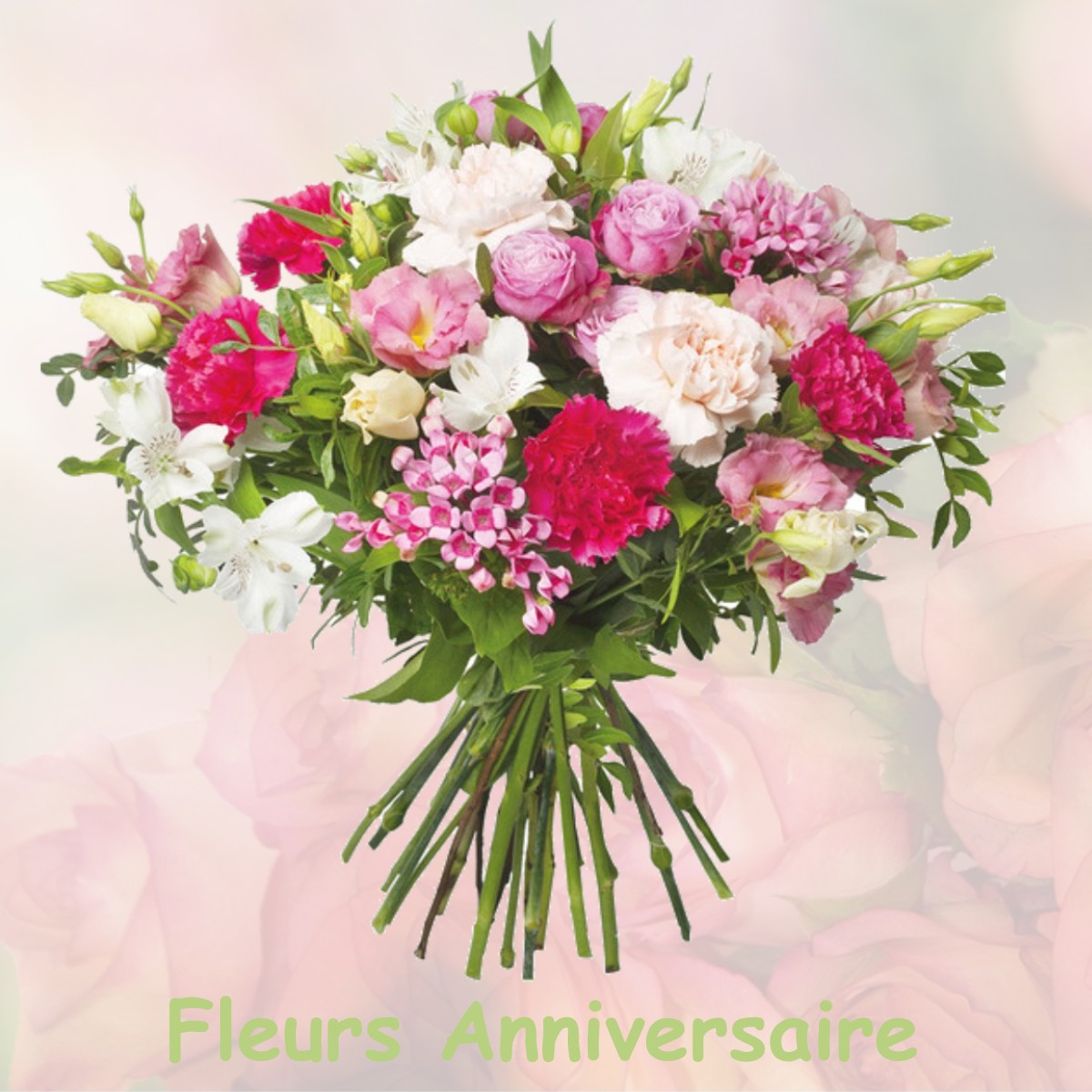 fleurs anniversaire MENVILLE