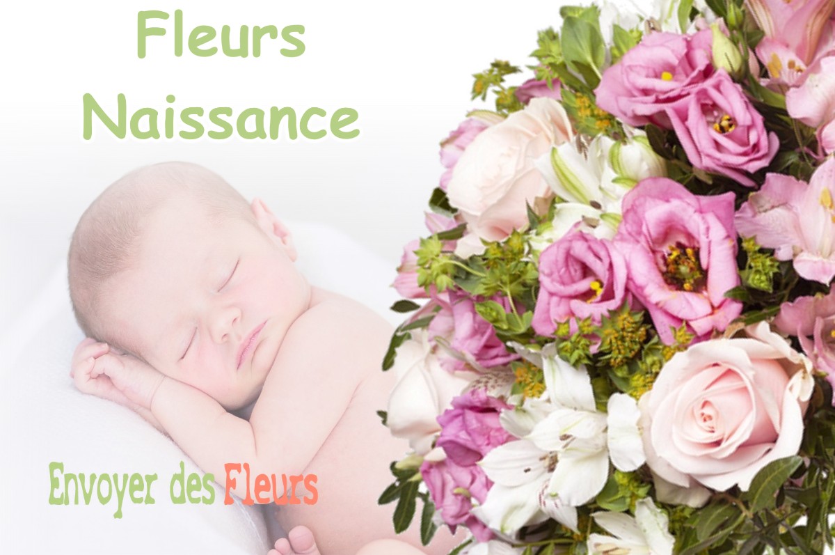 lIVRAISON FLEURS NAISSANCE à MENVILLE